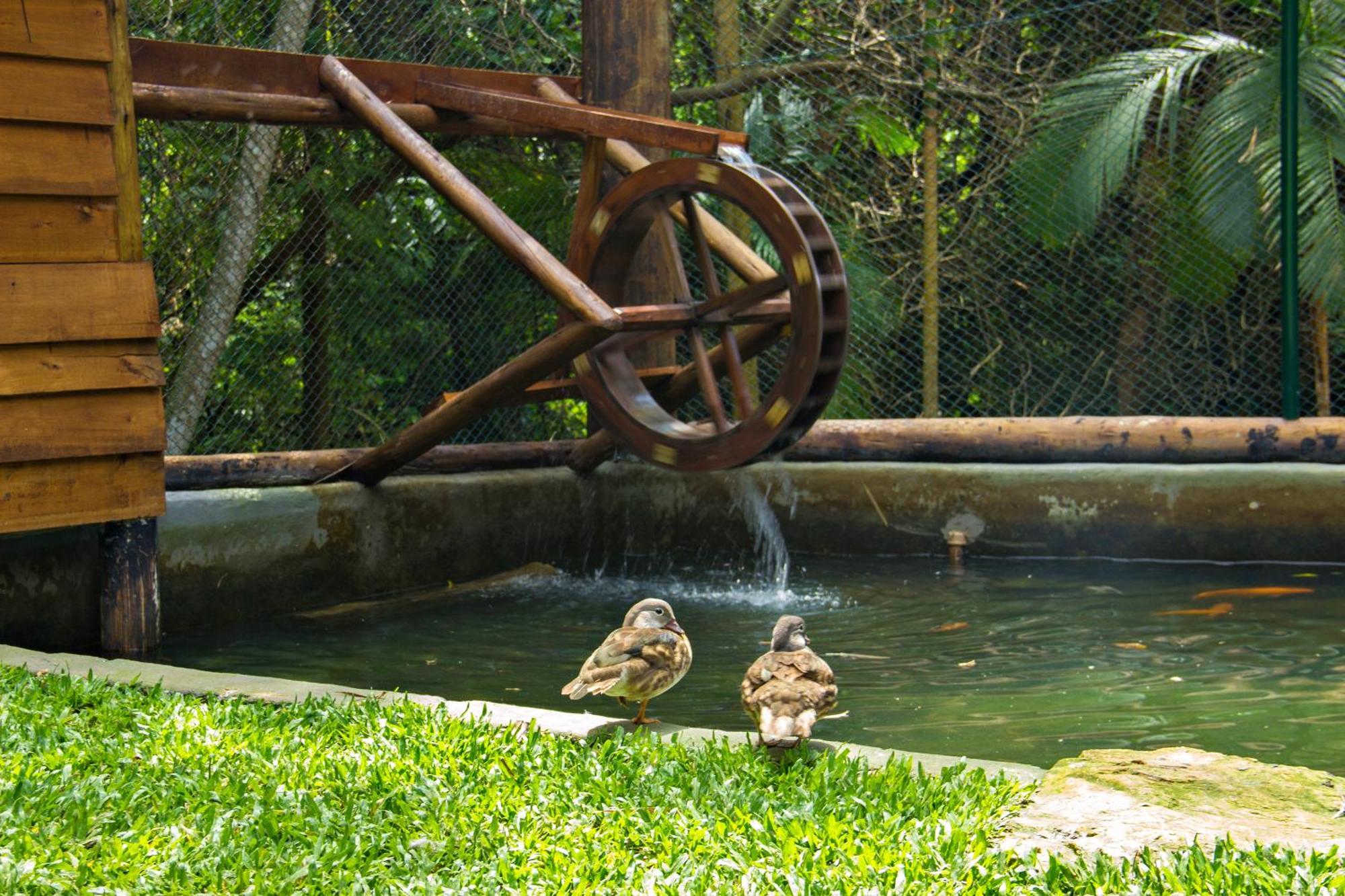 Costao Do Santinho Resort Florianópolis